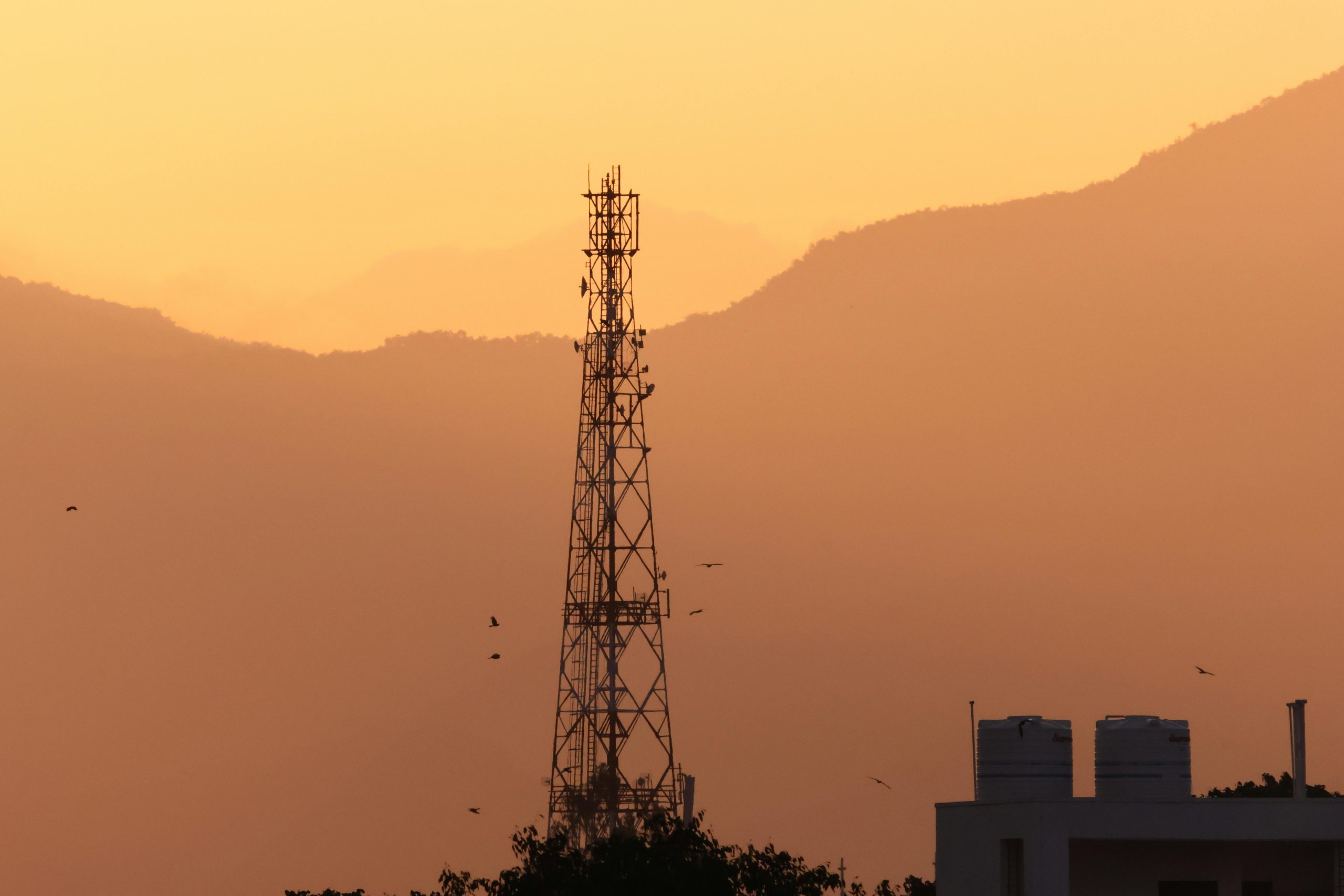Do You Need a Cell Tower Lease Consultant? 5 Situations to Consider